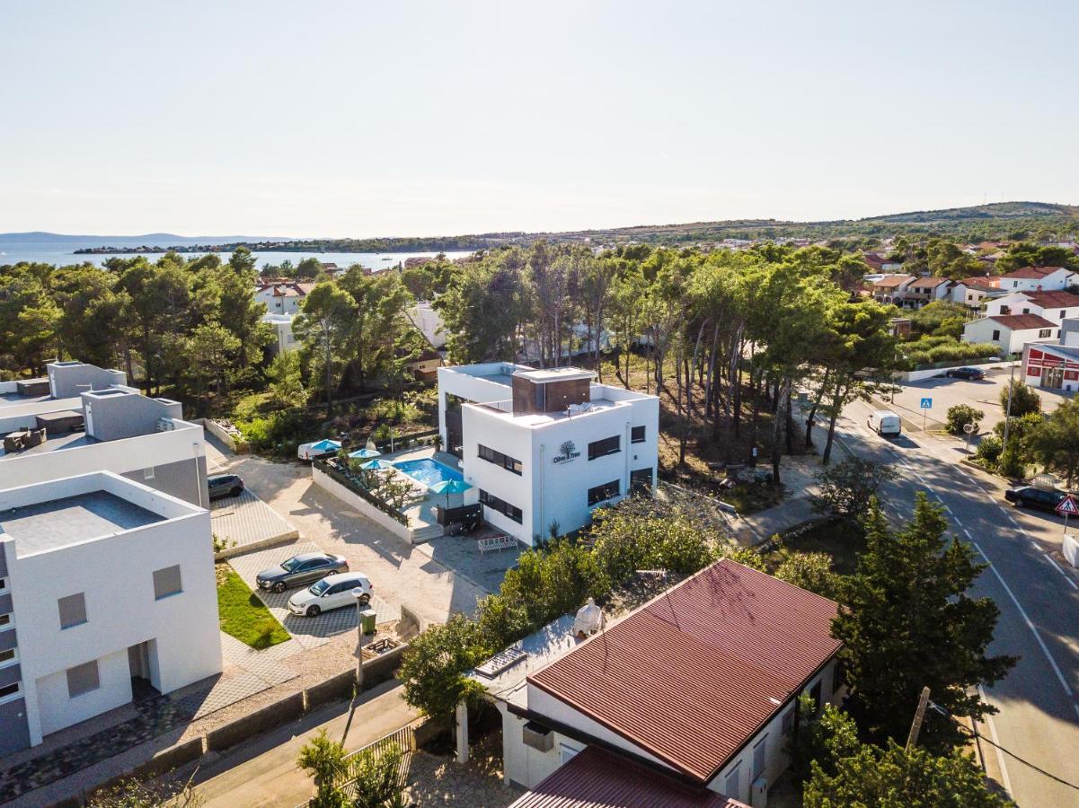 Olive Tree Mansion Apartment Vir Bagian luar foto