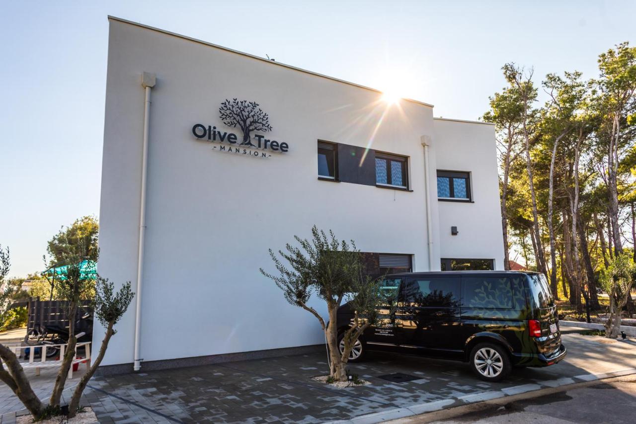 Olive Tree Mansion Apartment Vir Bagian luar foto